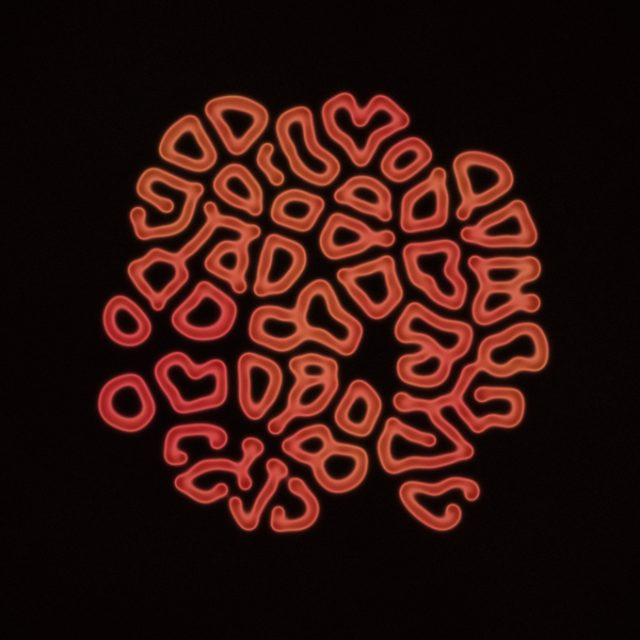 Reaction Diffusion Coral